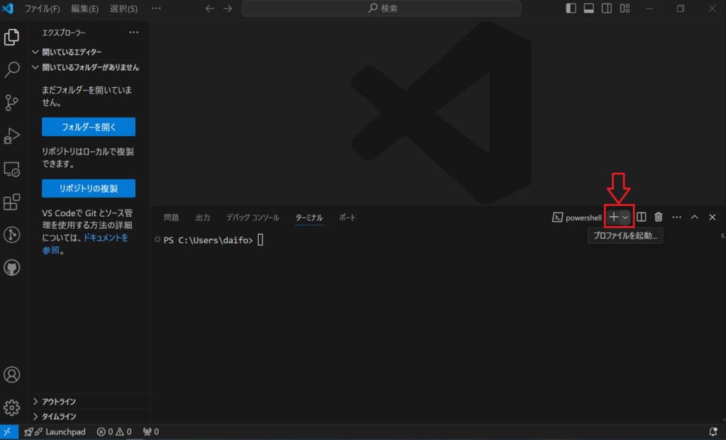 vscode-display-terminal